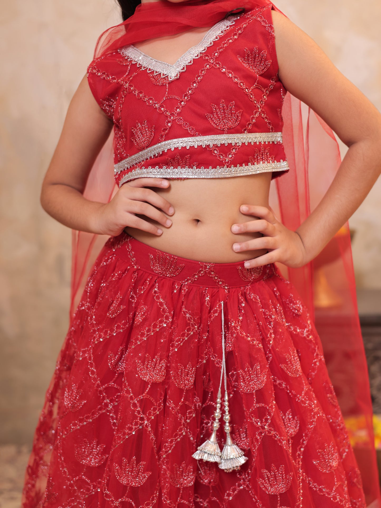 Girls Red Net Sleeveless Heavy Embroidered Lehenga Choli